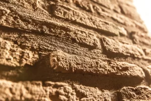 _MG_0457_residencefruttidoro