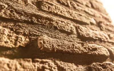 _MG_0457_residencefruttidoro